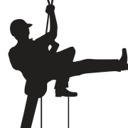 P.Corcoran Tree Surgeon/Arborist