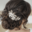 The Killarney Bridal Hair and Beauty Salon