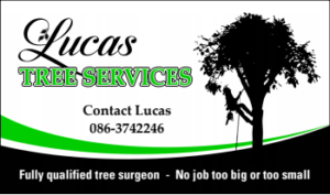 Lucas Tree Services Leinster
