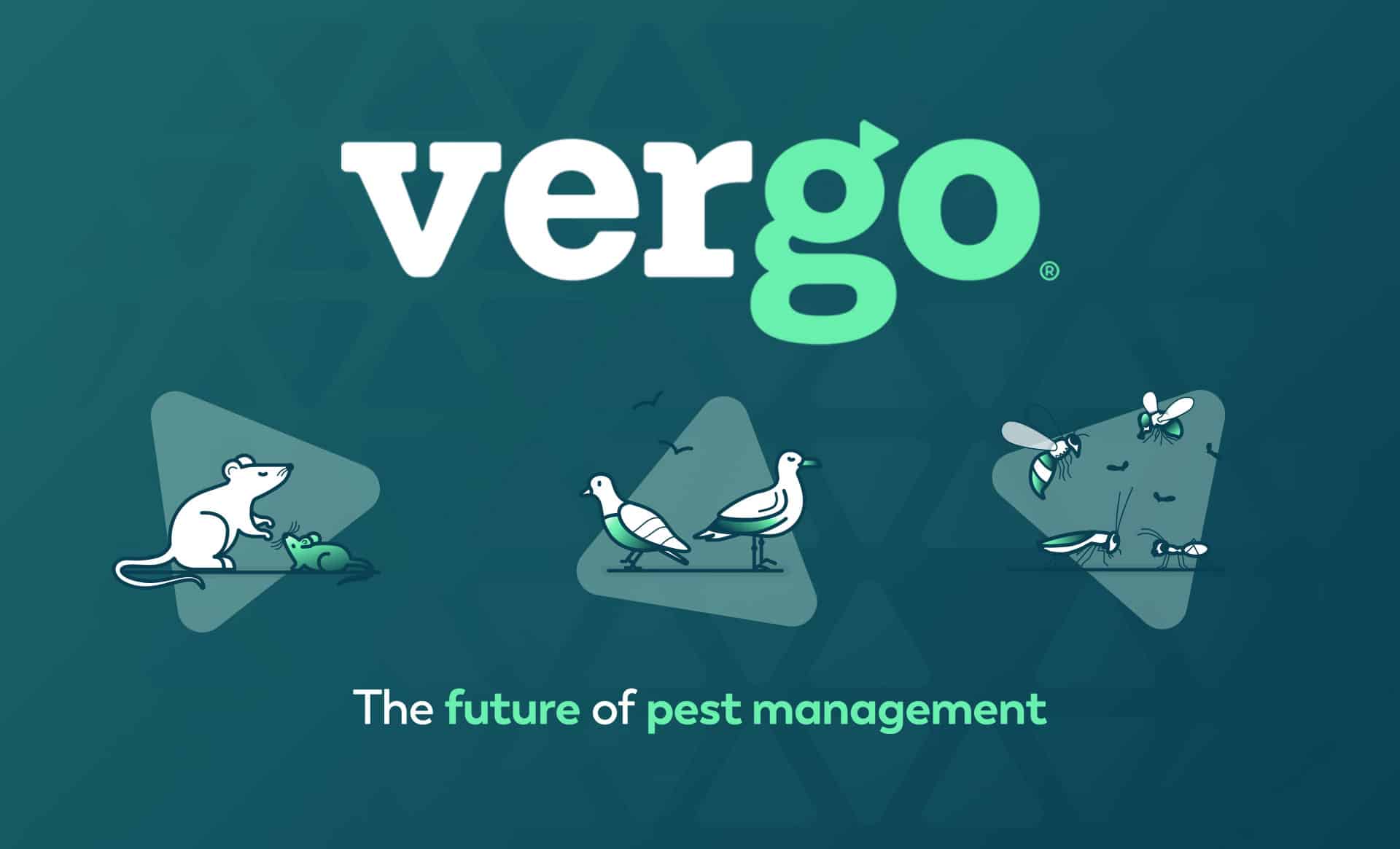 Vergo Pest Management Ltd