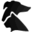 The Willow Veterinary Clinic