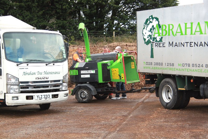 Abraham Tree Maintenance