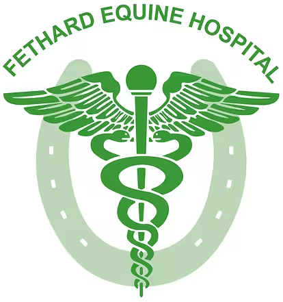 Fethard equine hospital