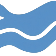 The Swan Medical