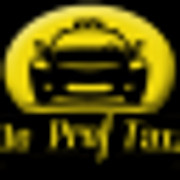 De Prof Taxi logo