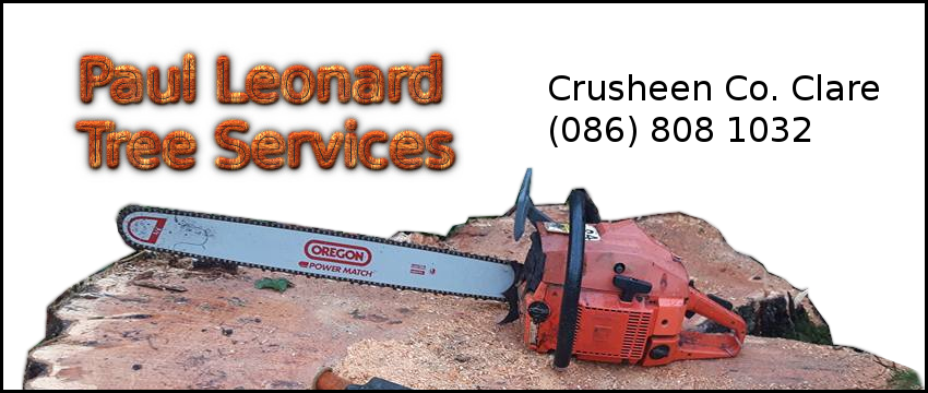 Paul Leonard Tree Services