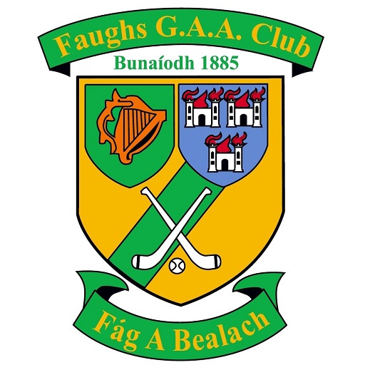 Faughs M50 Pitch