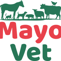 Grange Veterinary Surgery