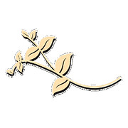 Henry Rankin Funeral directors