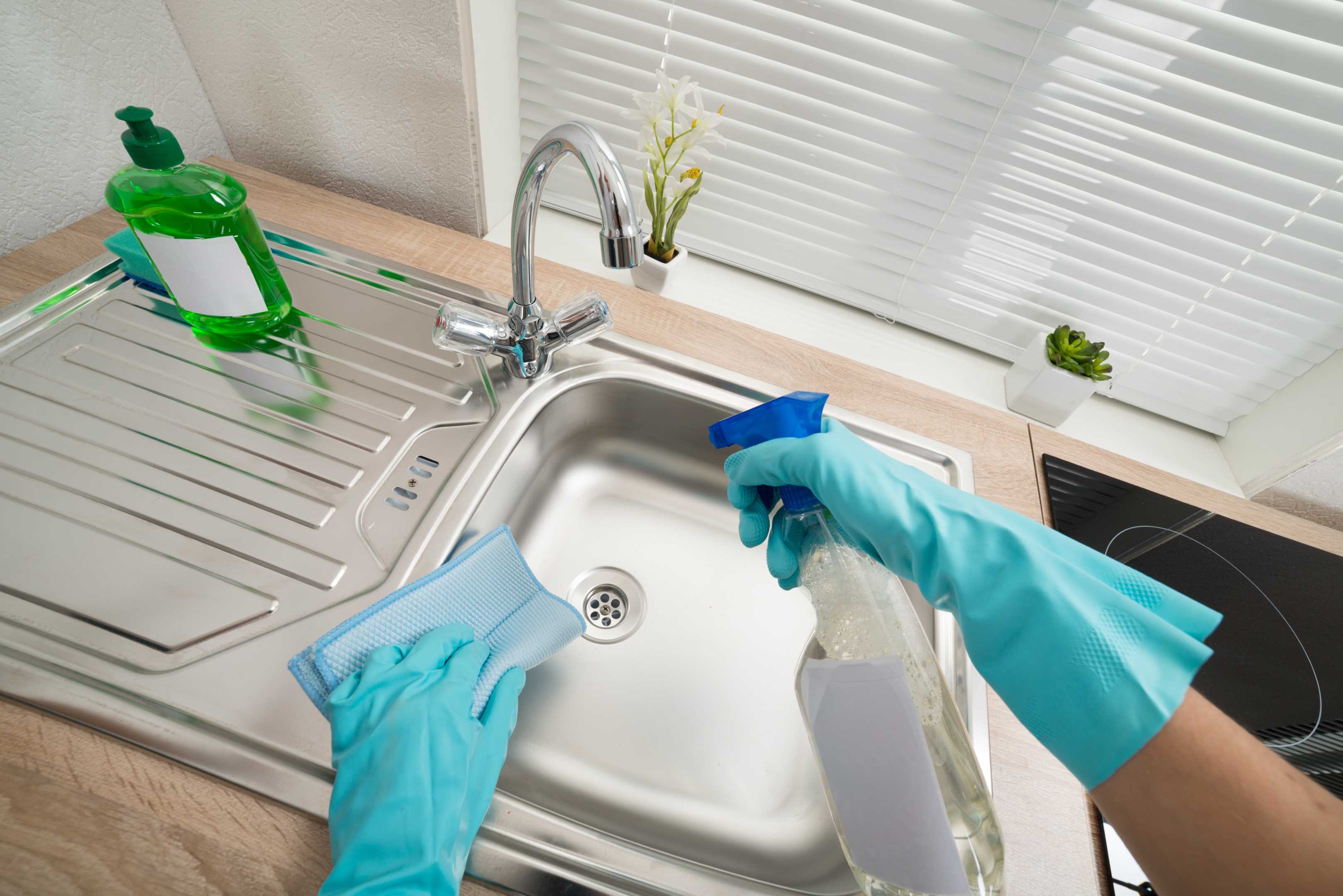 Extreme Steam Carpet Cleaning