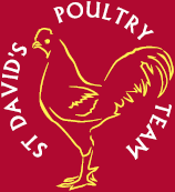St Davids Poultry Team, Dungannon