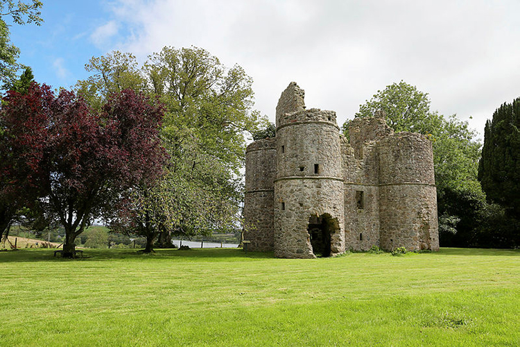 Roughan Castle logo