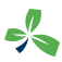 Rowing Ireland
