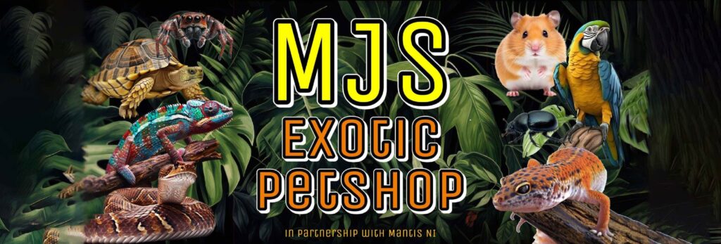 Mjs exotic petshop lurgan