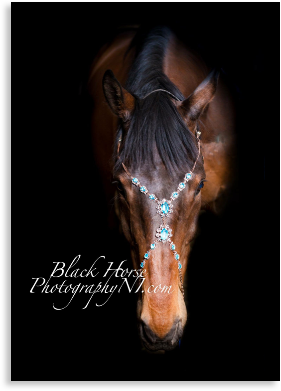 Black Horse Photography NI