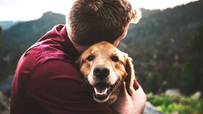 Vets for Pets - Crescent Link