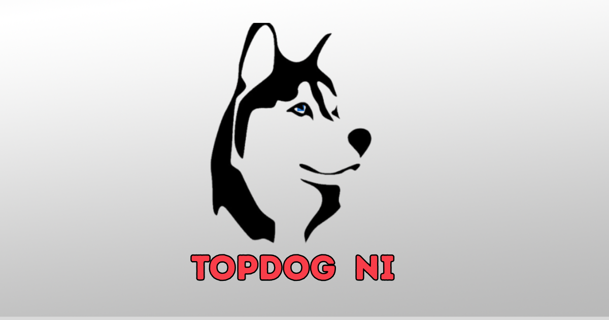 Top Dog Boarding Kennels and Grooming services