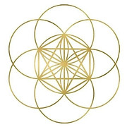 Reflexions Holistic Therapies & Bowen Technique Belfast