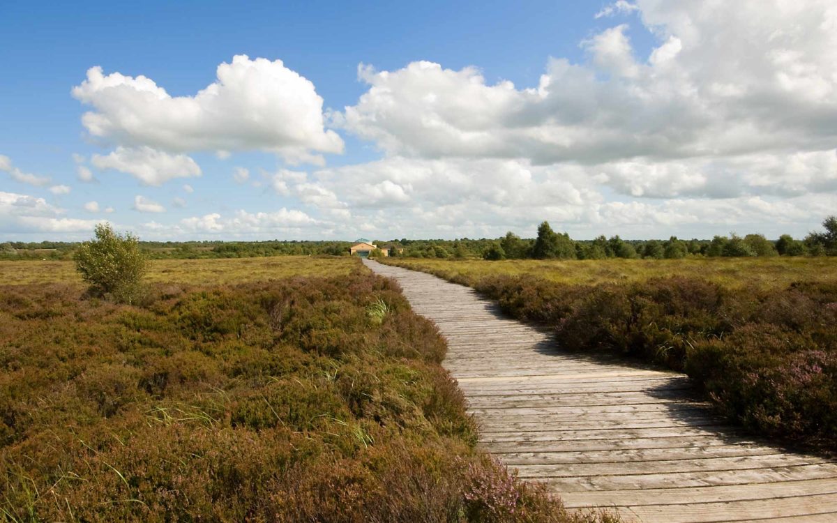 Corlea Trackway Visitor Centre
