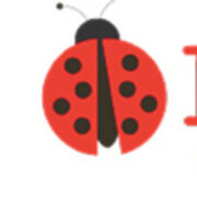 Ladybirds Children's Services