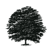 Conker Tree Cottages