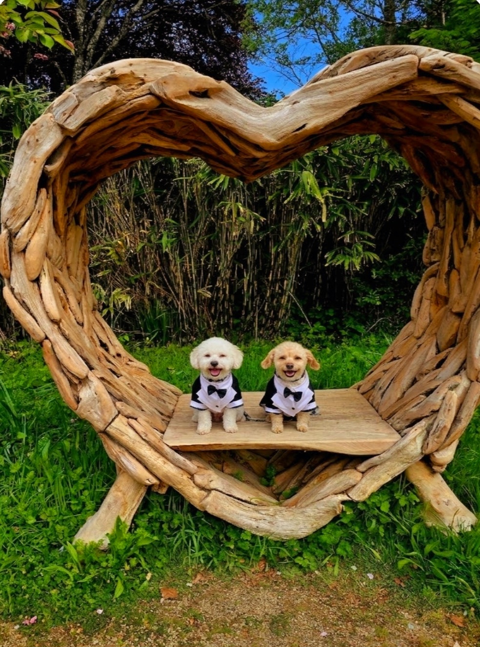 Tralee Boarding Kennels & Cattery @The Granary