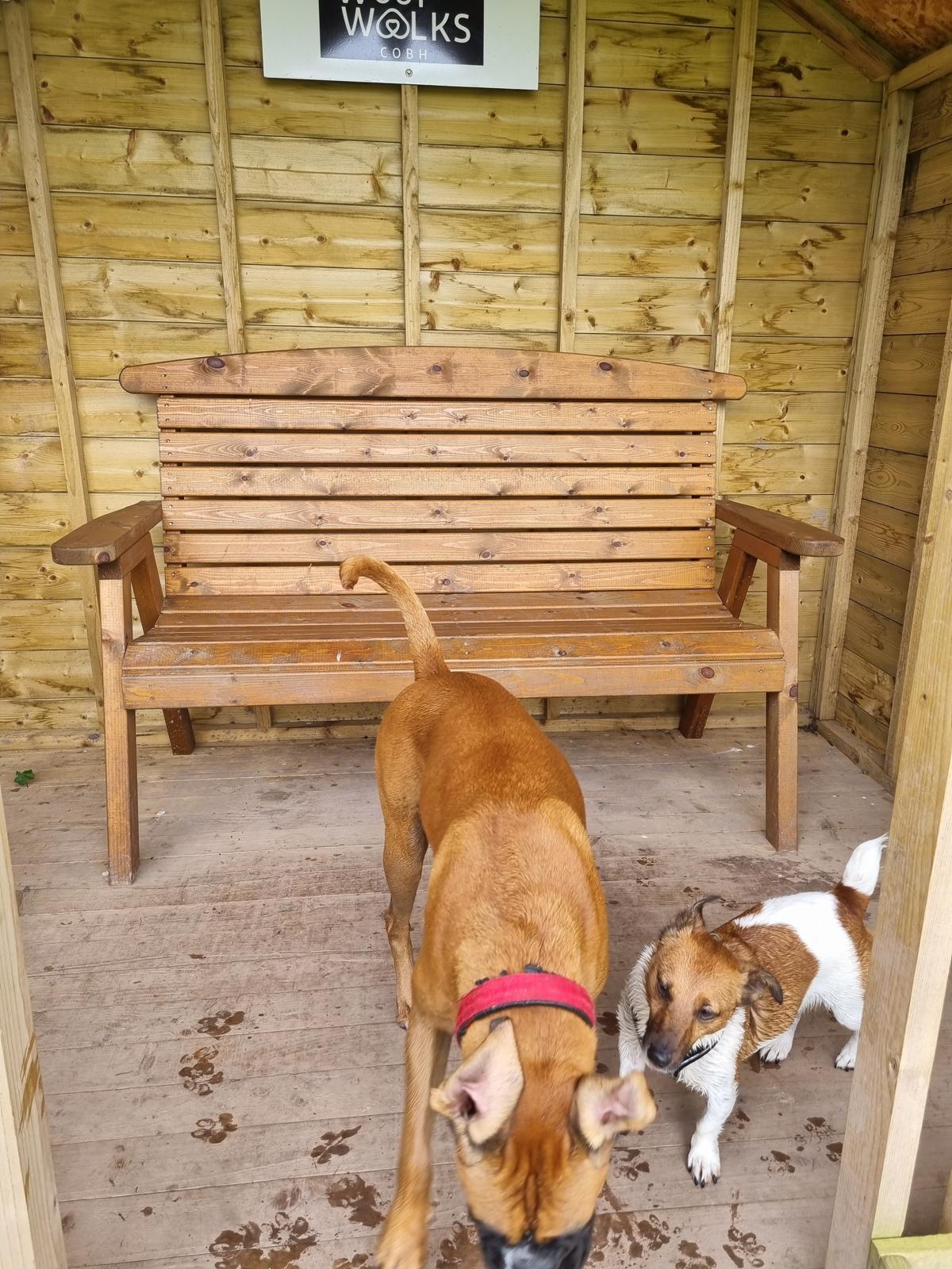 Woofwalks Cobh