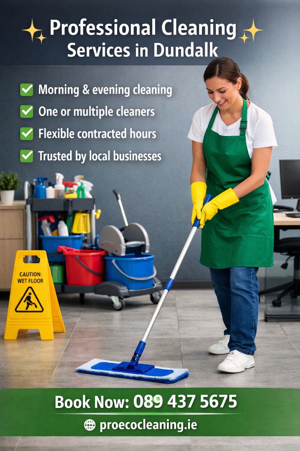 Pro Eco Cleaning
