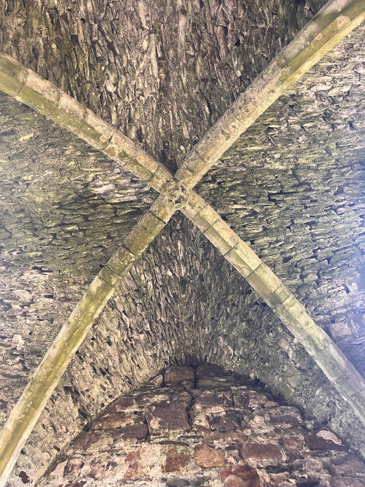Dunbrody Abbey Visitor Centre