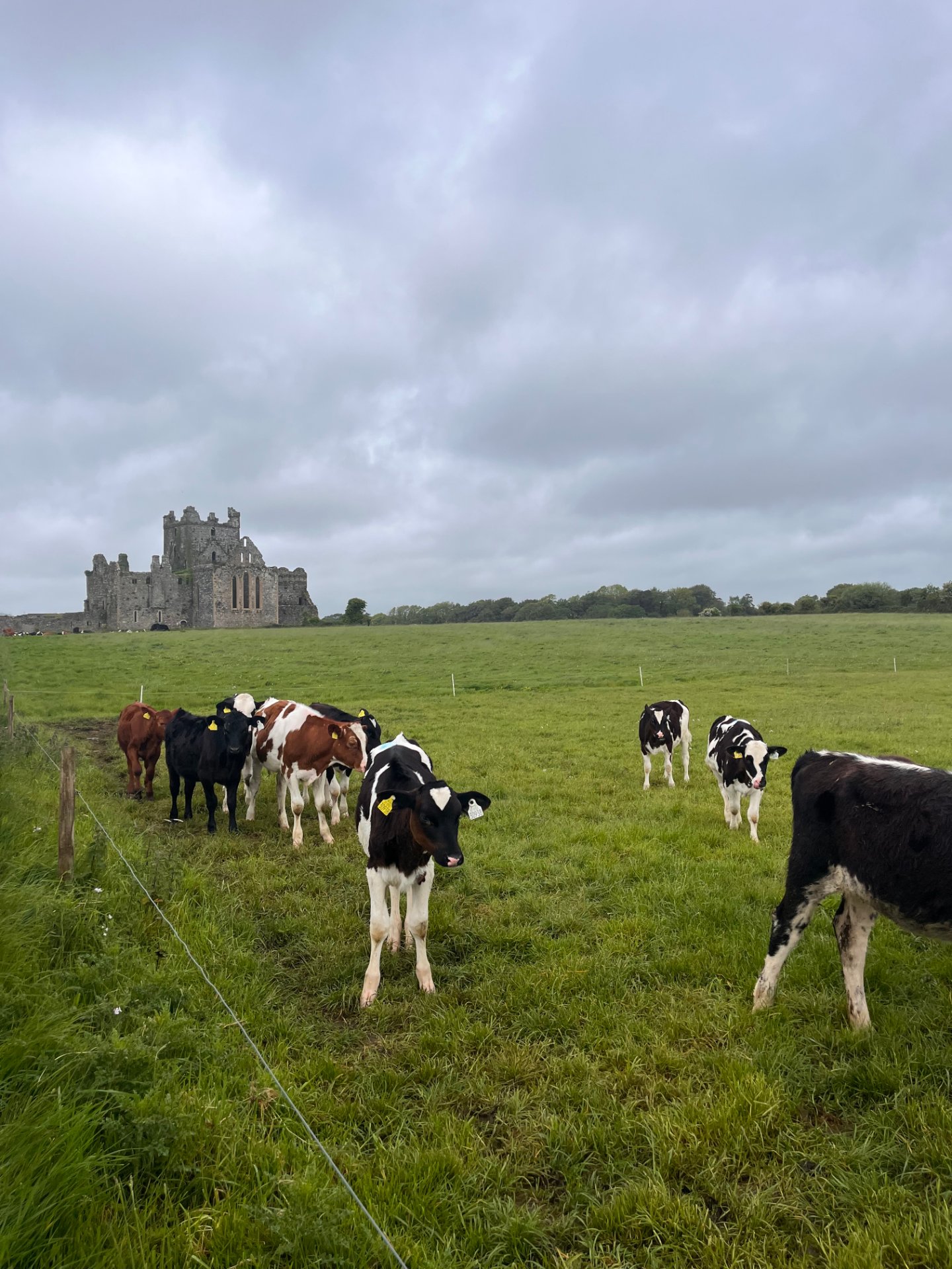 Dunbrody Abbey Visitor Centre