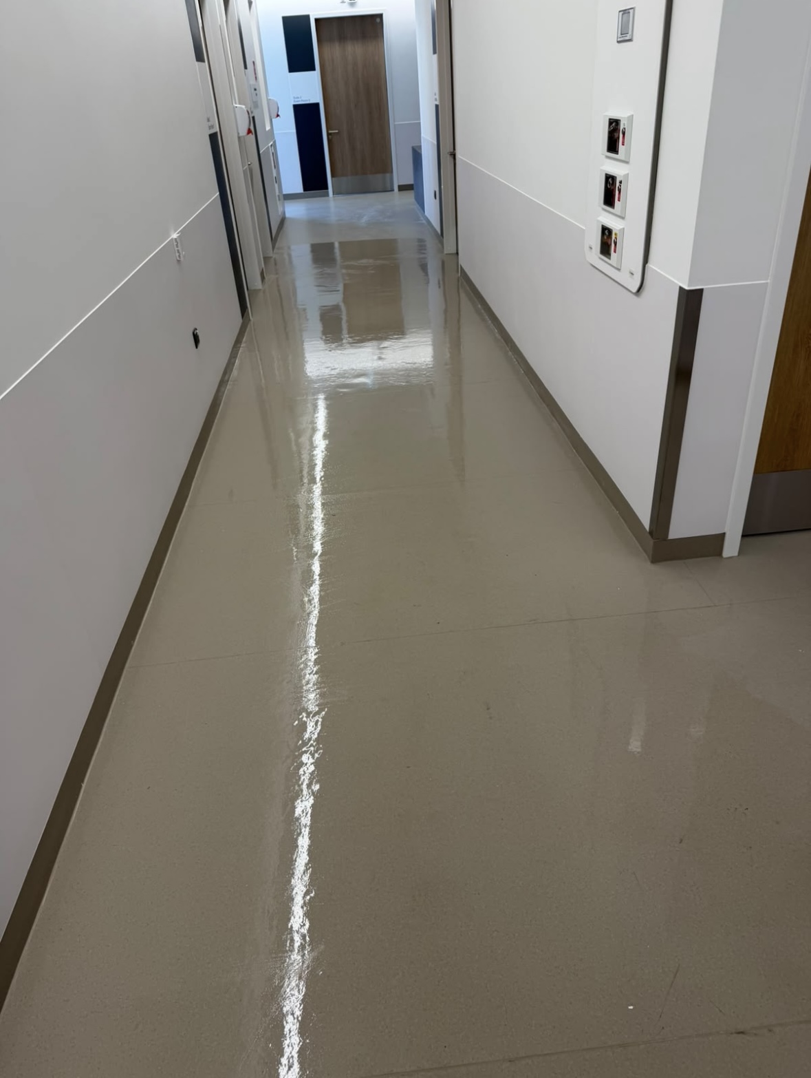 Hexaclean Solutions - Professional Cleaners Dublin