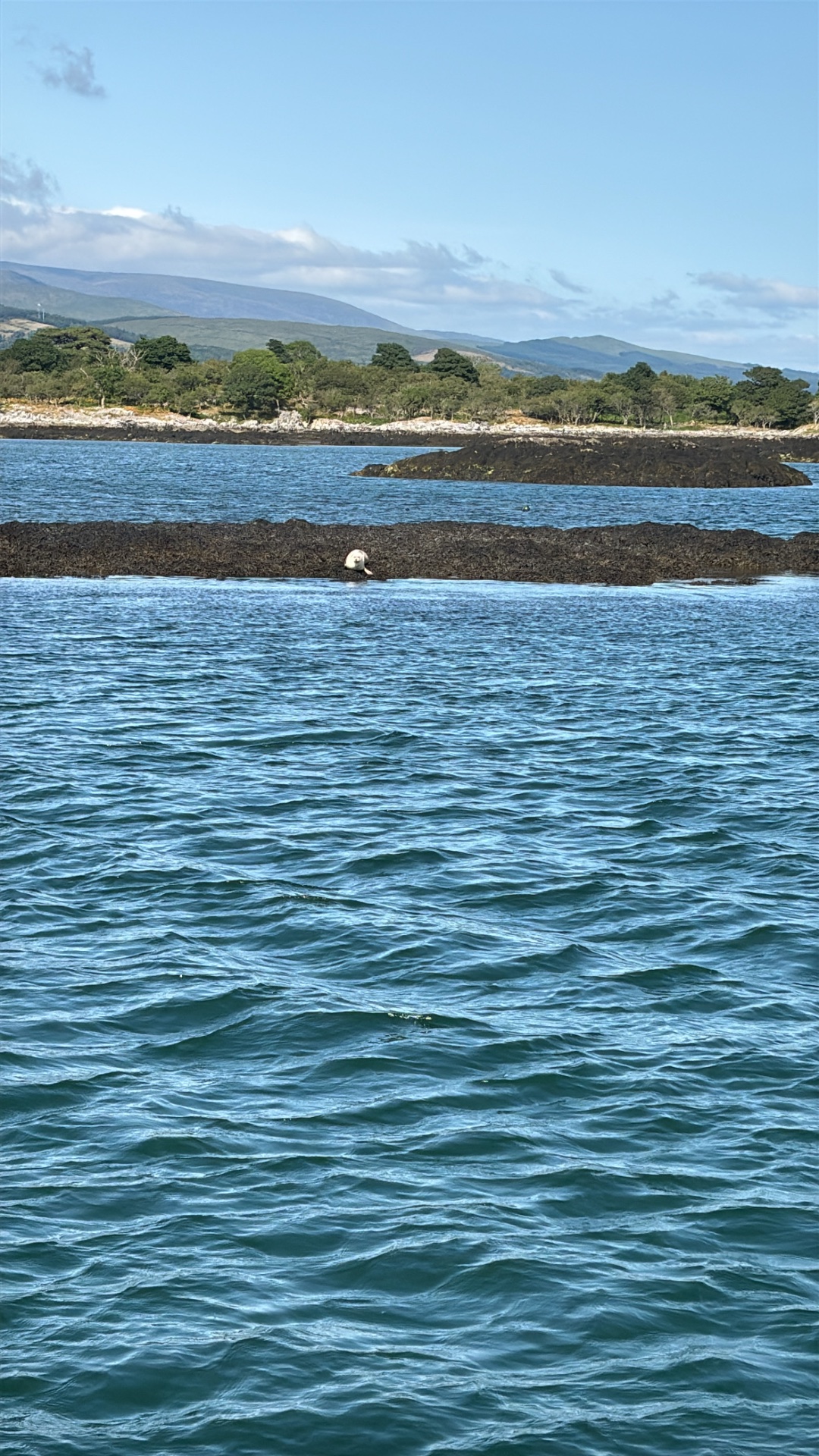 Kenmare Bay Boat Tours
