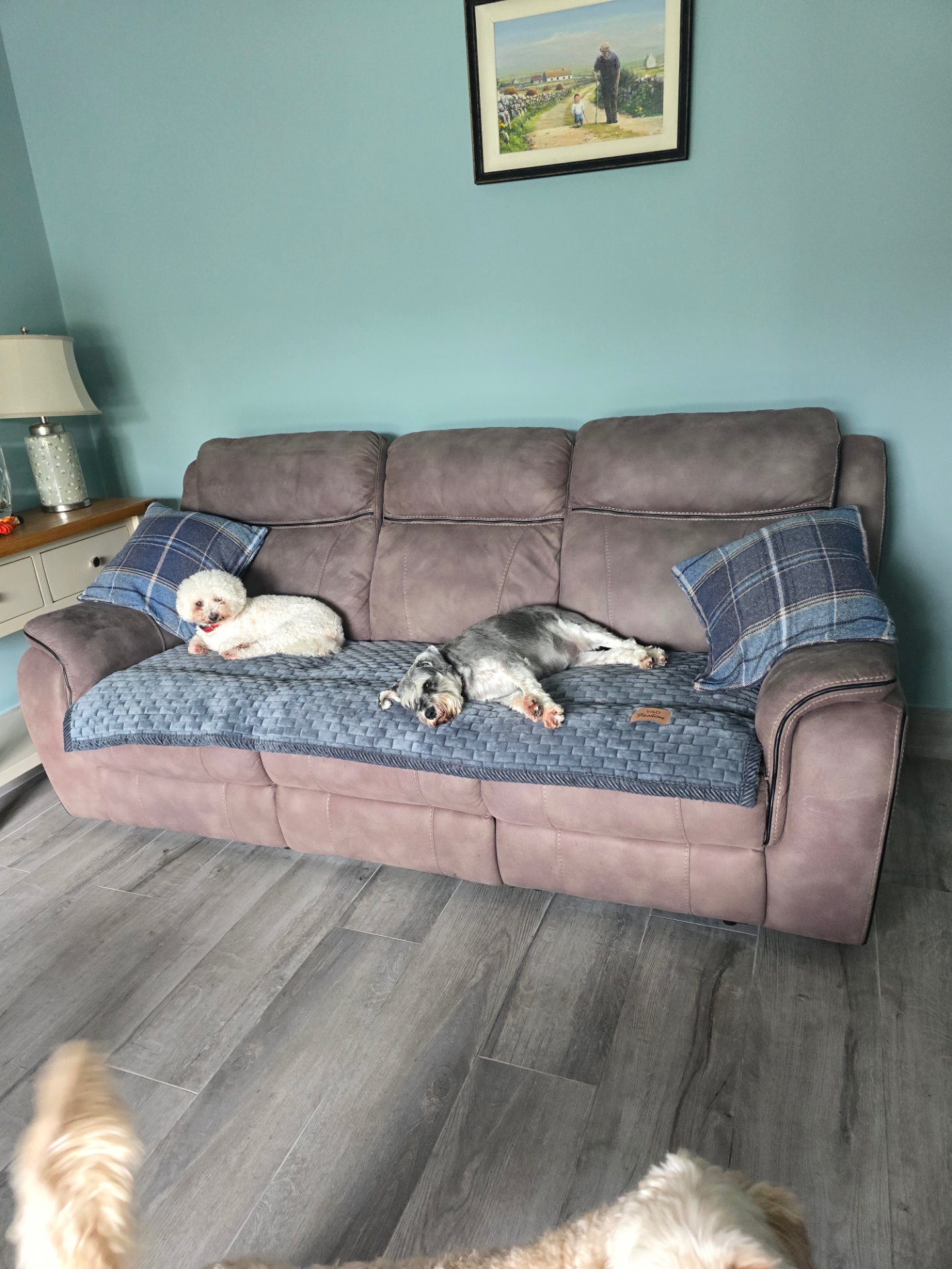 Tralee Boarding Kennels & Cattery @The Granary