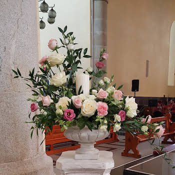 Casia Flowers