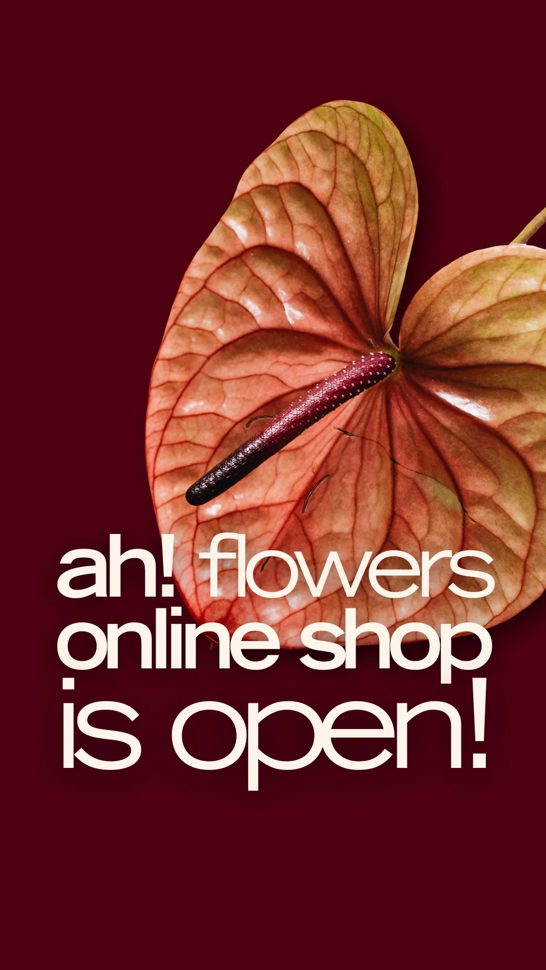 ah! Floral Design Studio