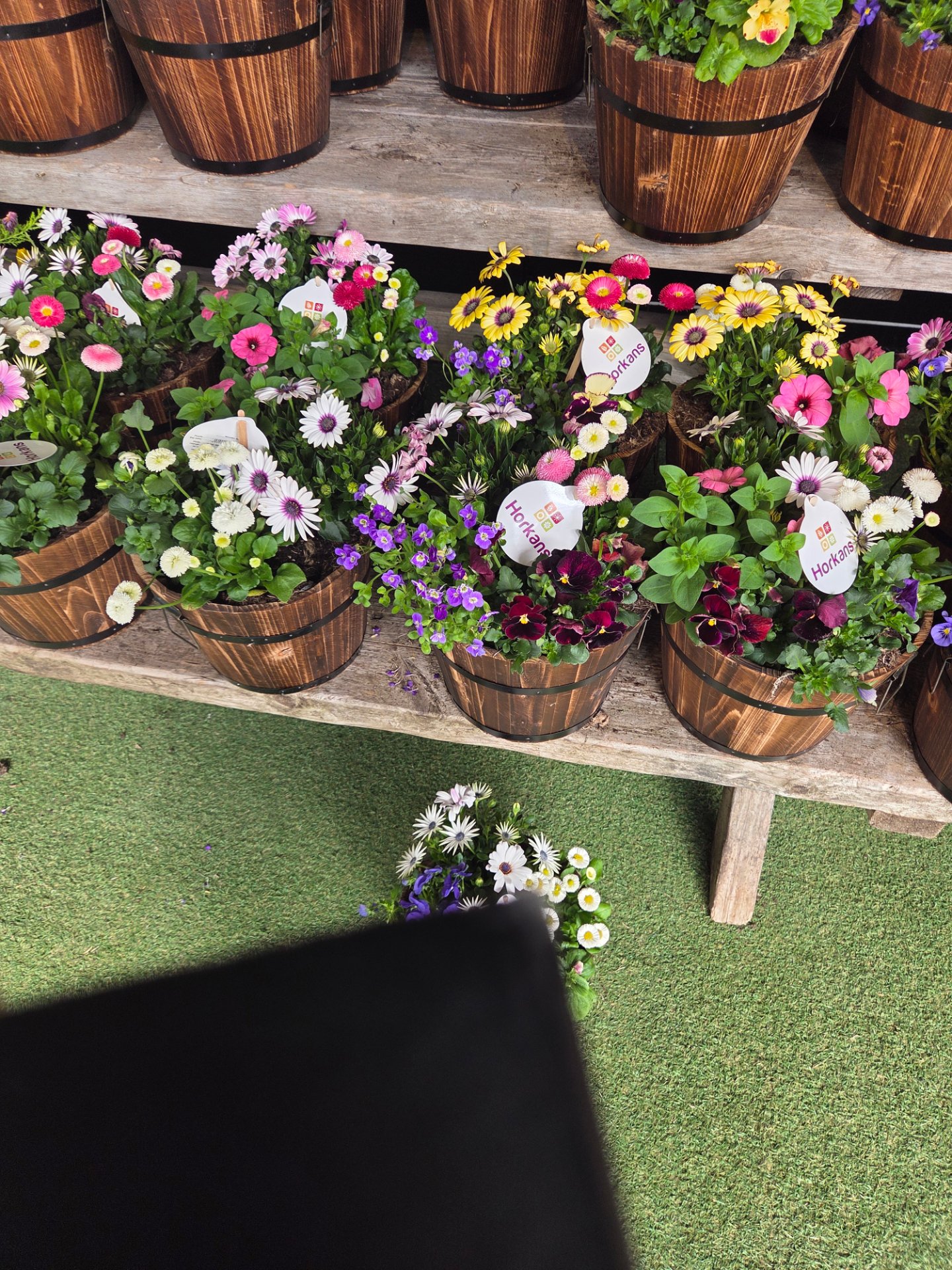 Keane's Garden Centre, Kilcolgan