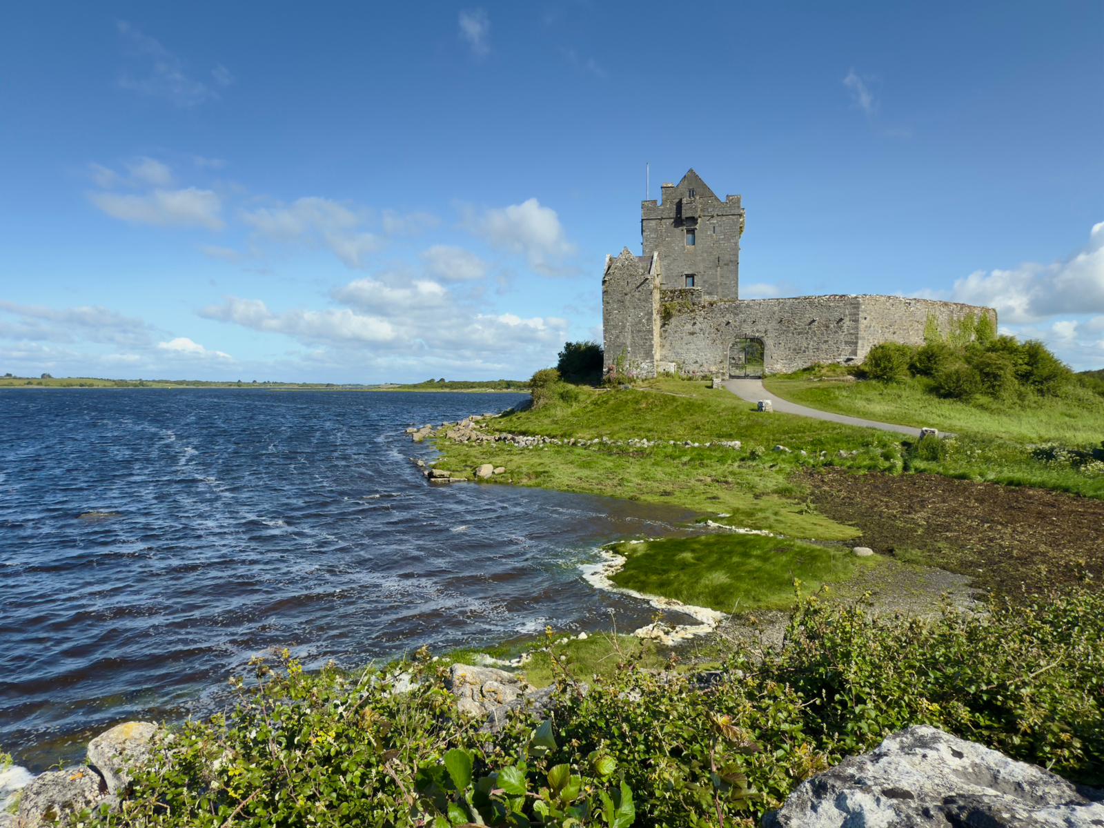 Wild About Ireland Tours
