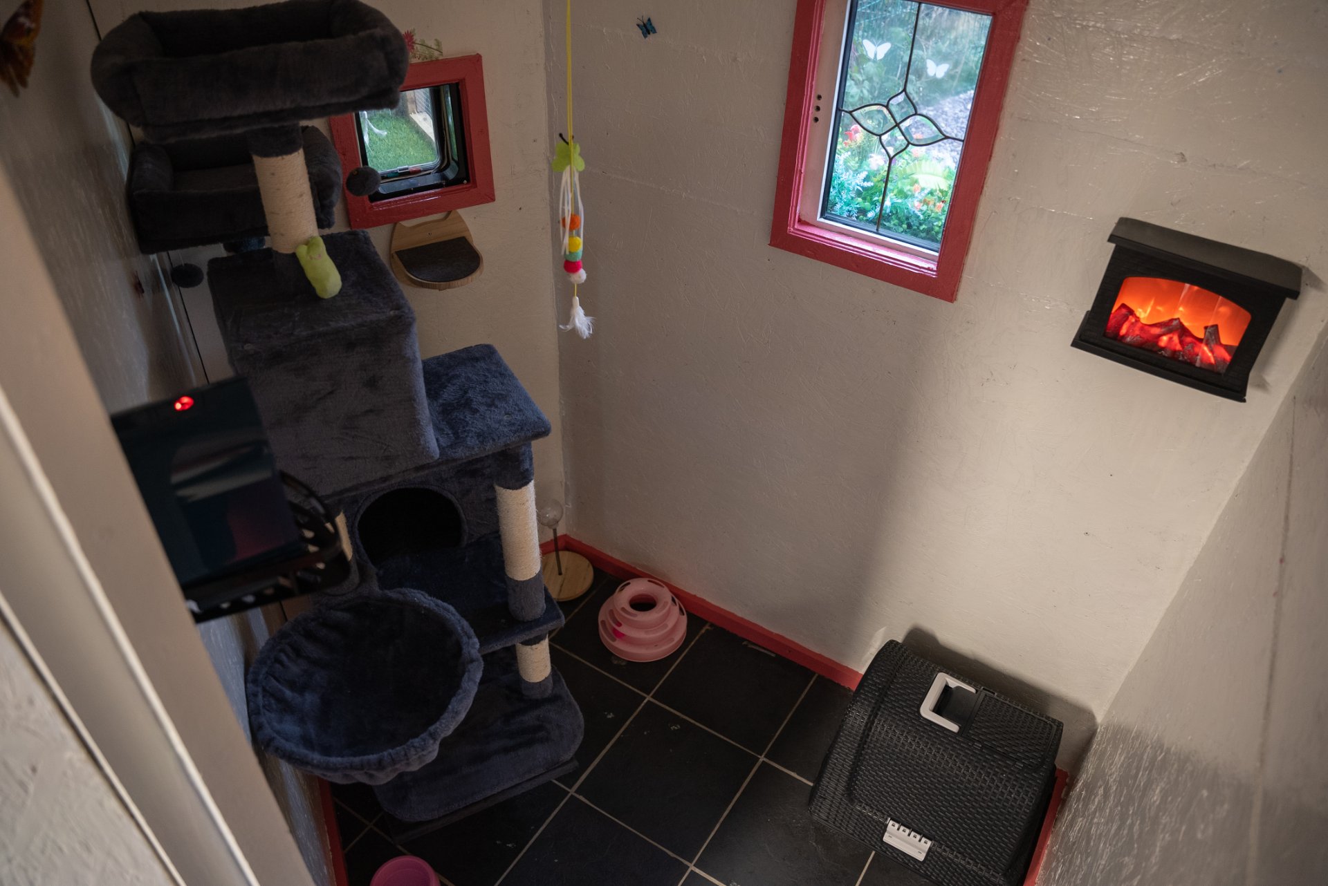 Tralee Boarding Kennels & Cattery @The Granary