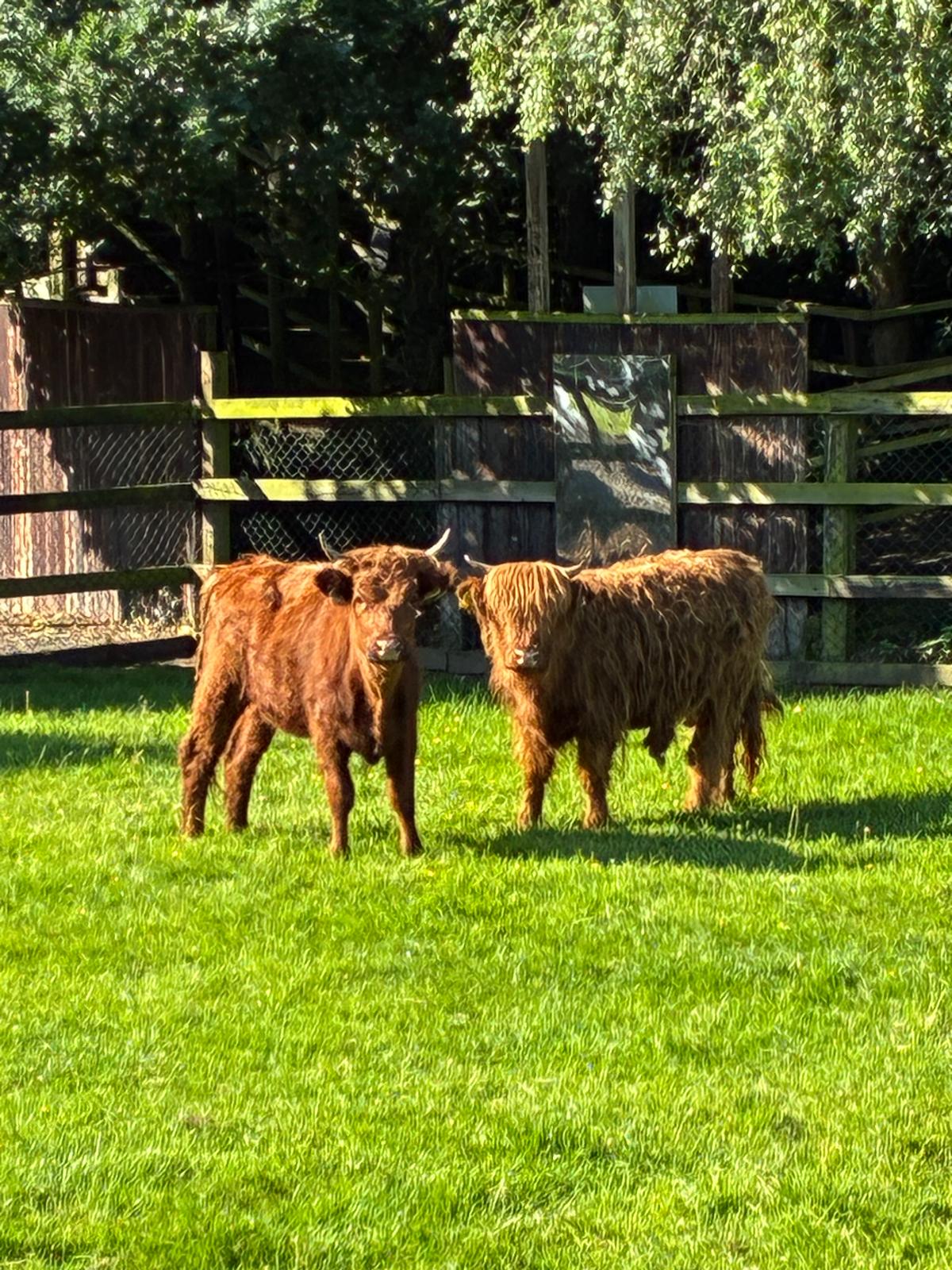 Kildare Farm Foods, Open Farm & Shop