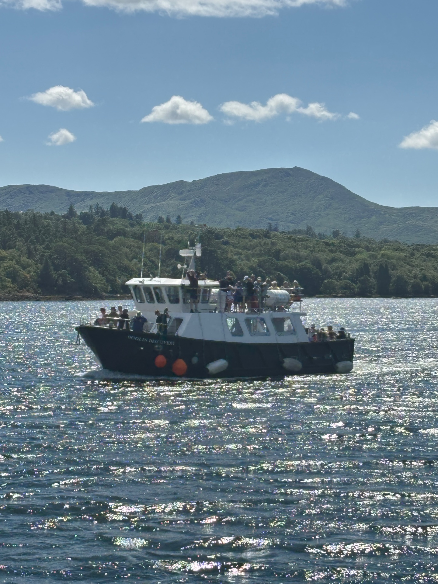 Kenmare Bay Boat Tours