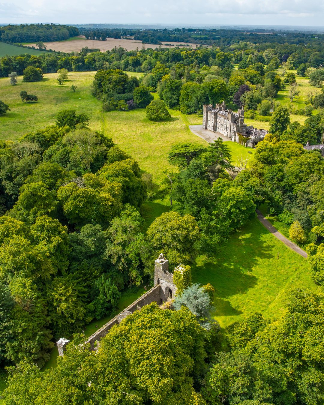 Irish Trees