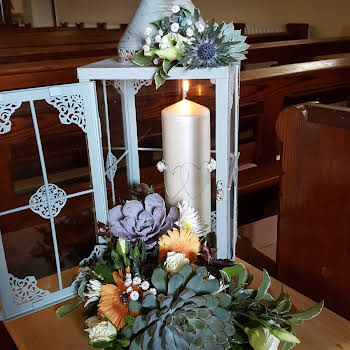 Casia Flowers