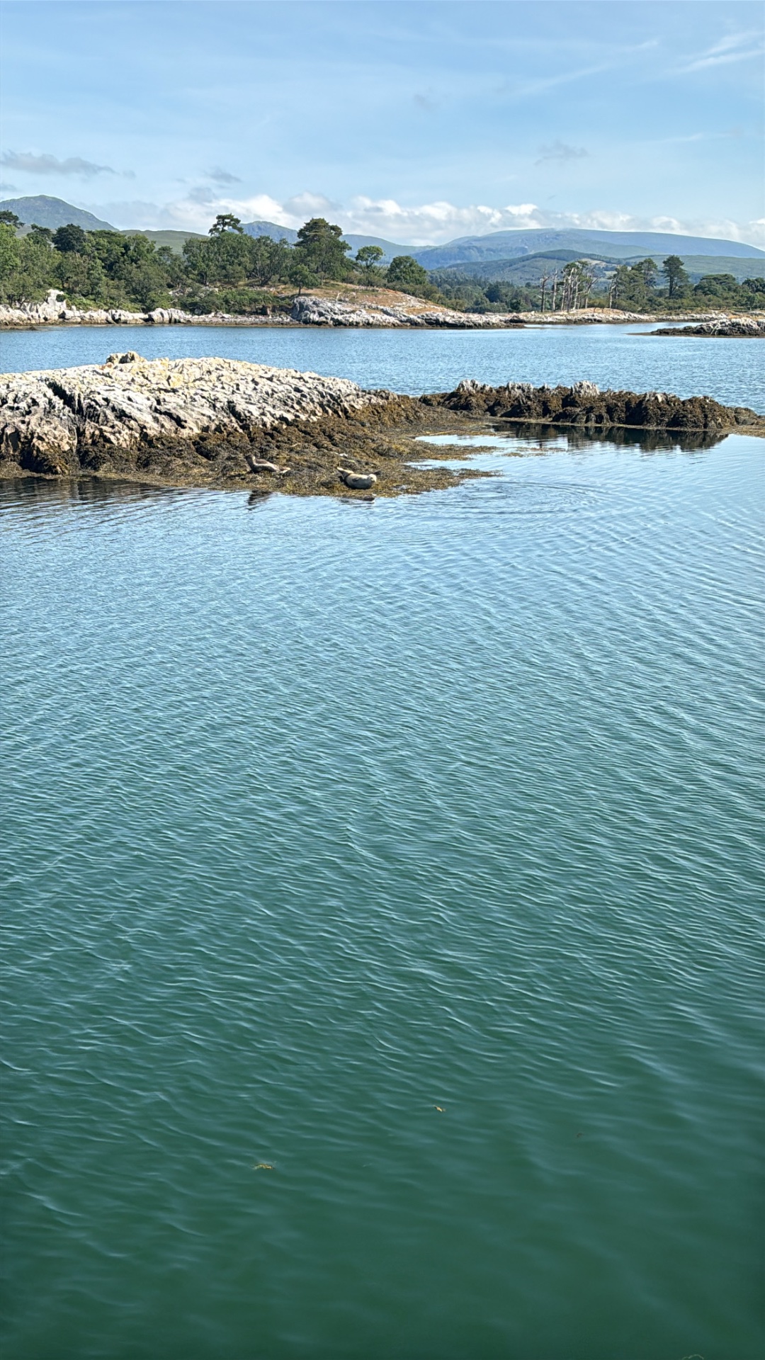 Kenmare Bay Boat Tours