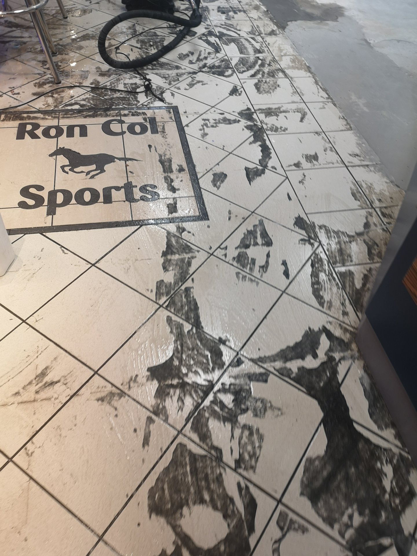 Pro Eco Cleaning