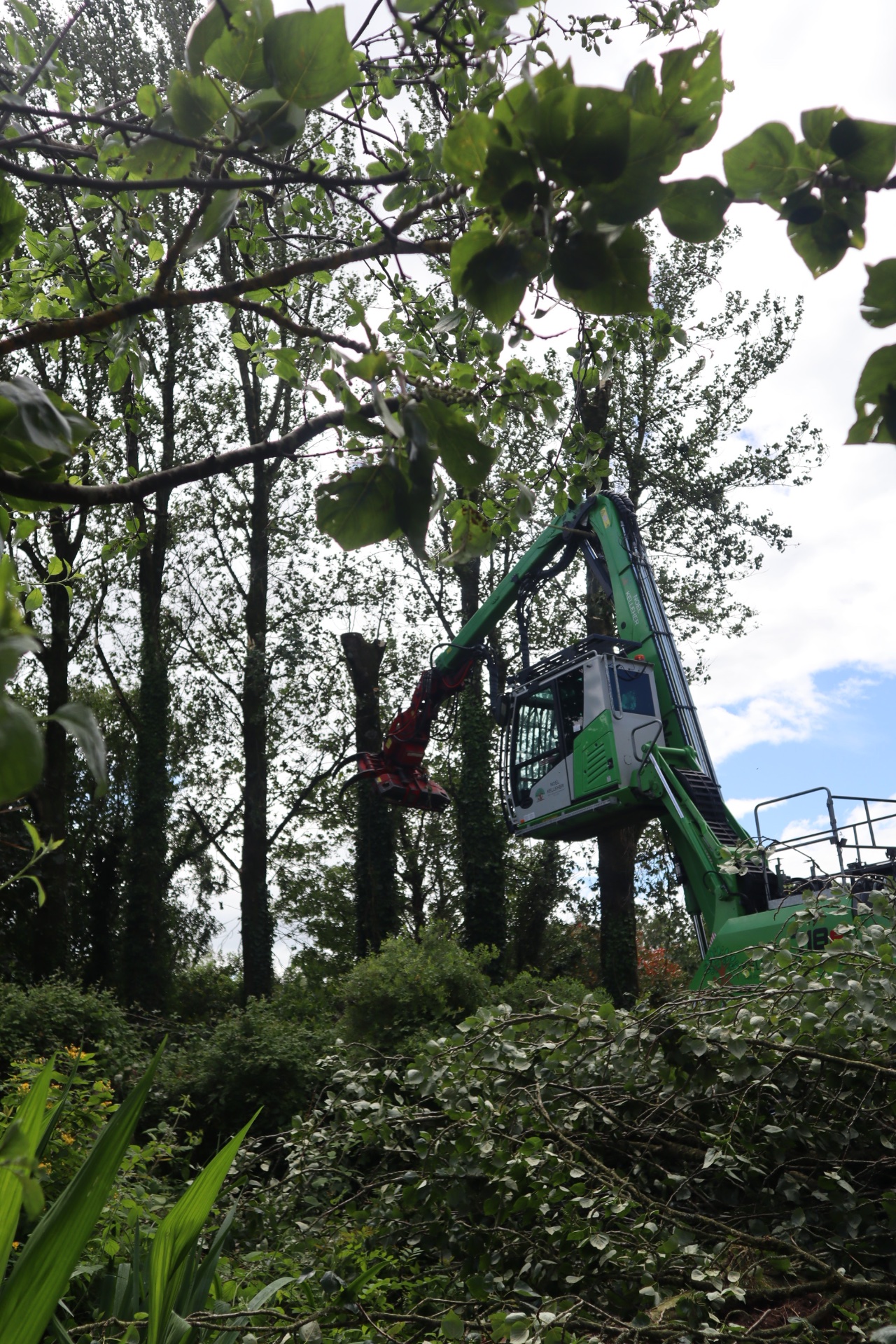 Noel Kelleher Tree Care