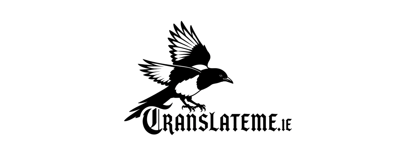 TranslateMe.ie cover
