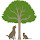 Woodview Veterinary Clinic, Boarding and Grooming, Lixnaw