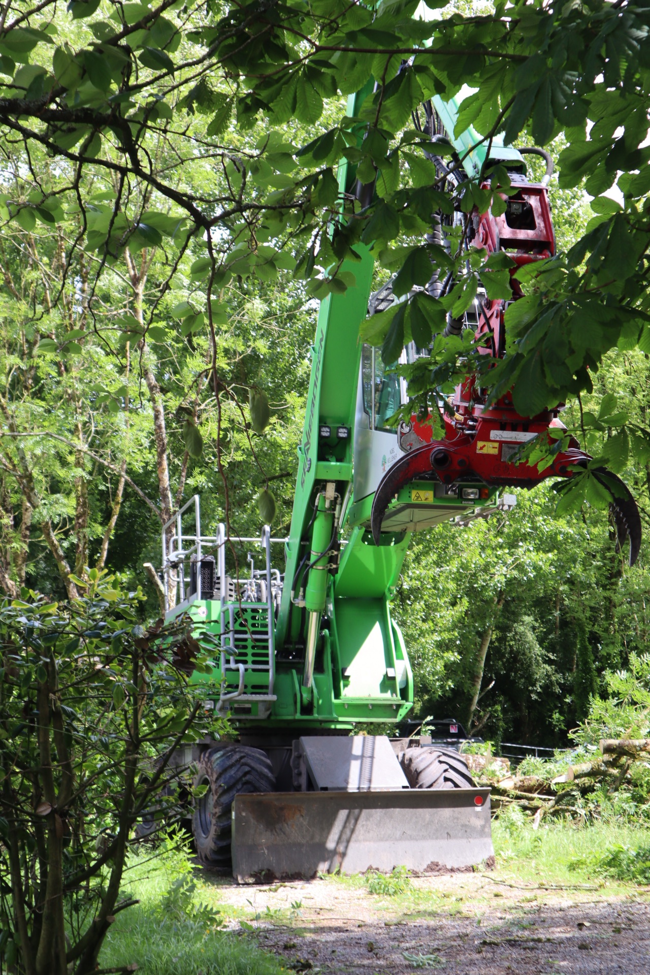 Noel Kelleher Tree Care
