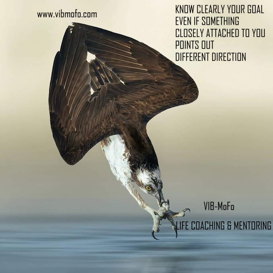 VIB-MoFo - Comprehensive Holistic Therapies | Co. Cavan