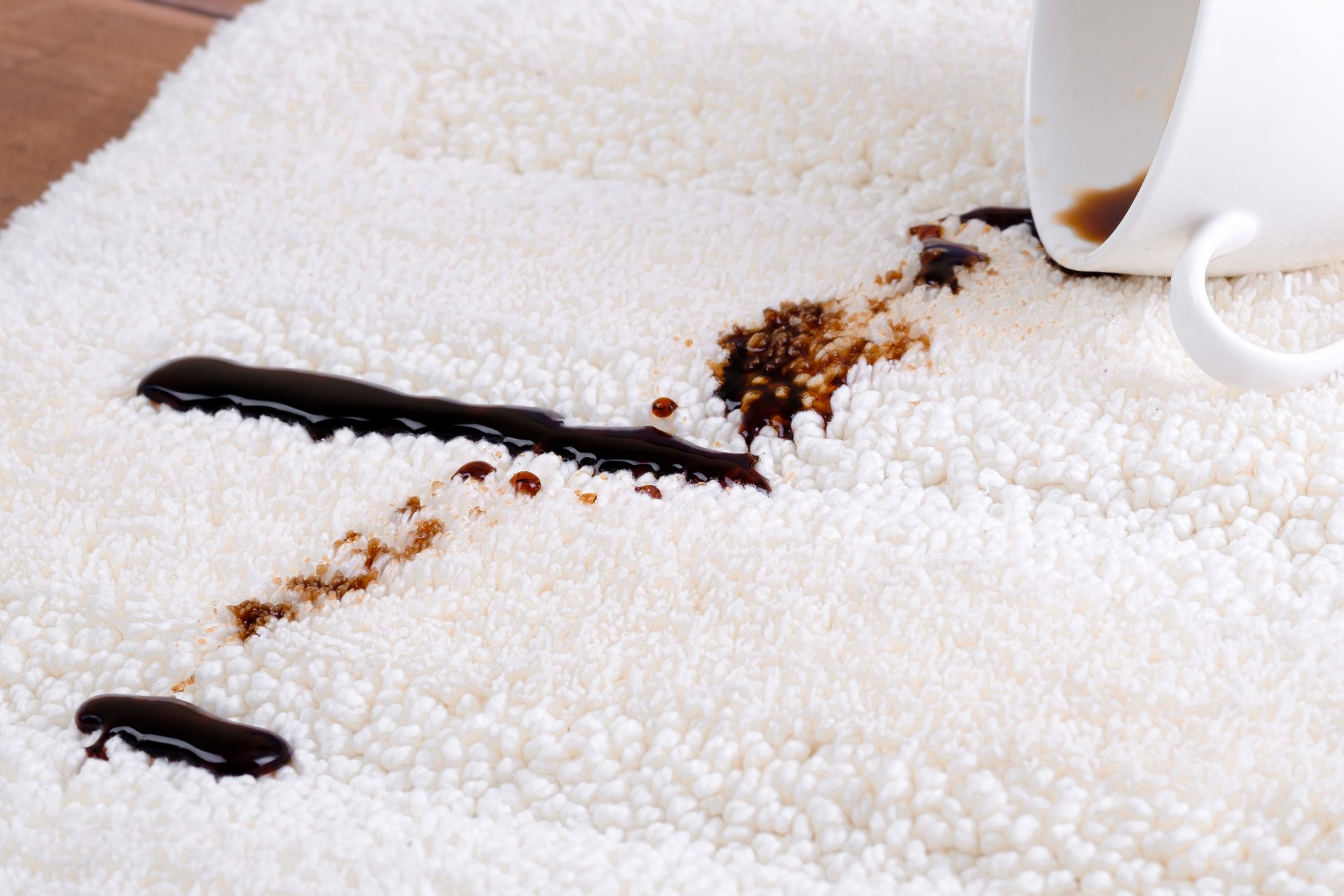 Pro Eco Cleaning